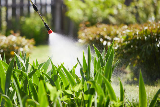 24/7 Emergency Ant Control experts in Chickasha, OK