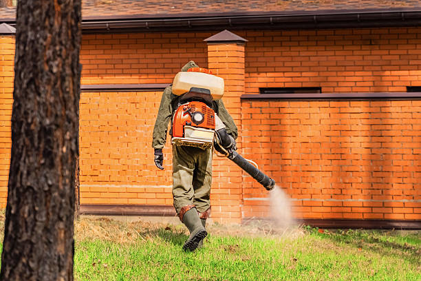 Trusted Rodent Control service in Chickasha, OK - Nex Pest Control